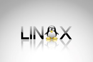 کاربردهای لینوکس چیست؟